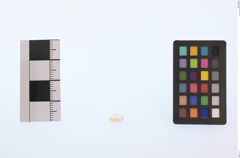 Foto von Diamant (NHMW-MIN-Af644)